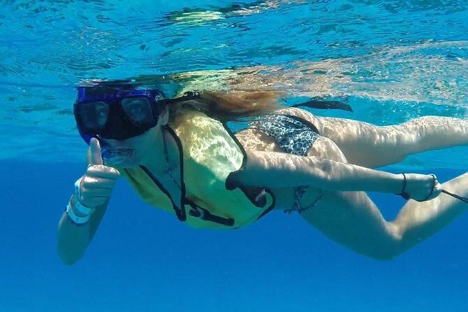 Discover starfish, swim and snorkel at El Cielo Cozumel Reef - Good To Know