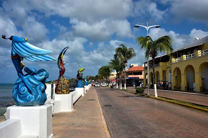 Discover starfish, swim and snorkel at El Cielo Cozumel Reef - Who Is This Tour Best For?