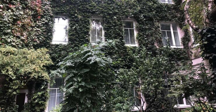 Discover Sustainable Projects in Vienna by Foot - Tour Details