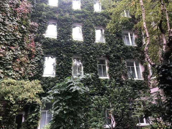 Discover Sustainable Projects in Vienna by Foot - Post-Tour Relaxation