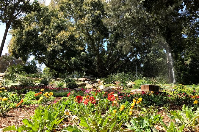 Discover Sydney - Botanic - Getting to Botanic Gardens