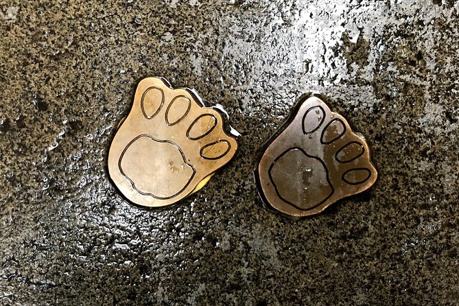 Discover Sydney - Overview and Activity Details