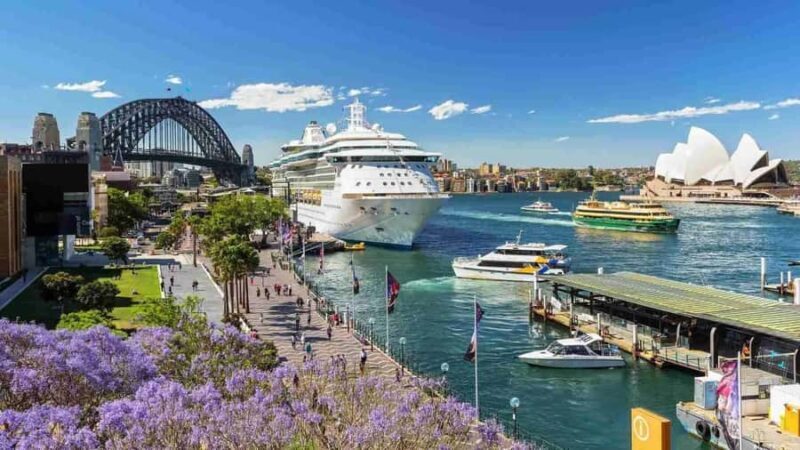 Discover Sydney - Private walking tour - Why We Think This Tour Is Worth Considering