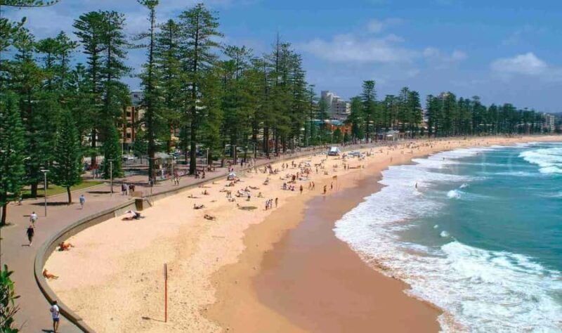 Discover Sydney - Private walking tour - Good To Know