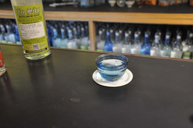 Discover tacos, mezcal, and music in Oaxaca. - Who Will Love This Tour?