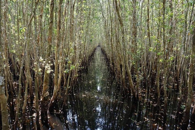 Discover Tan Lap Floating Village From Ho Chi Minh City - Top Attractions in Tan Lap Floating Village