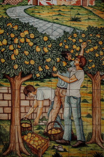 Discover Tenute Baglio Passofondo - Walking Through Vineyards and Olive Groves