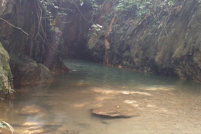 Discover the Adventure at Falans Ruins - Reviews and Ratings Analysis