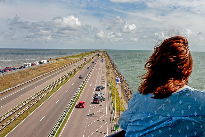 Discover the Amsterdam Lake District and Tulip Fields Tour - Tour Experience