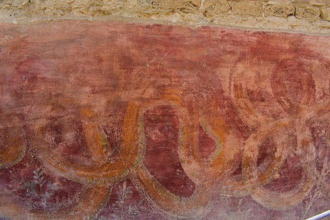 Discover the Ancient Ruins of Pompeii: Day Trip From Rome - Feedback and Reviews From Previous Travelers