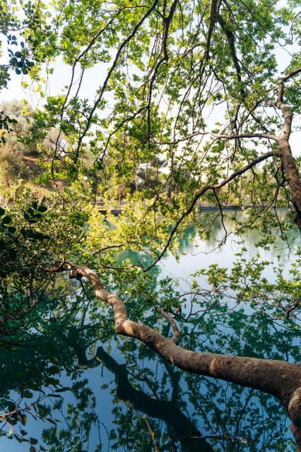 Discover the Archaeological museum of Mesara and Lake Zaros - Who Would Love This Tour?
