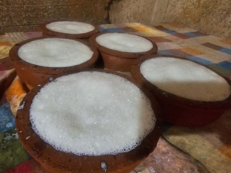 Discover the Art of Curd Making in Tissamaharama - Final Thoughts