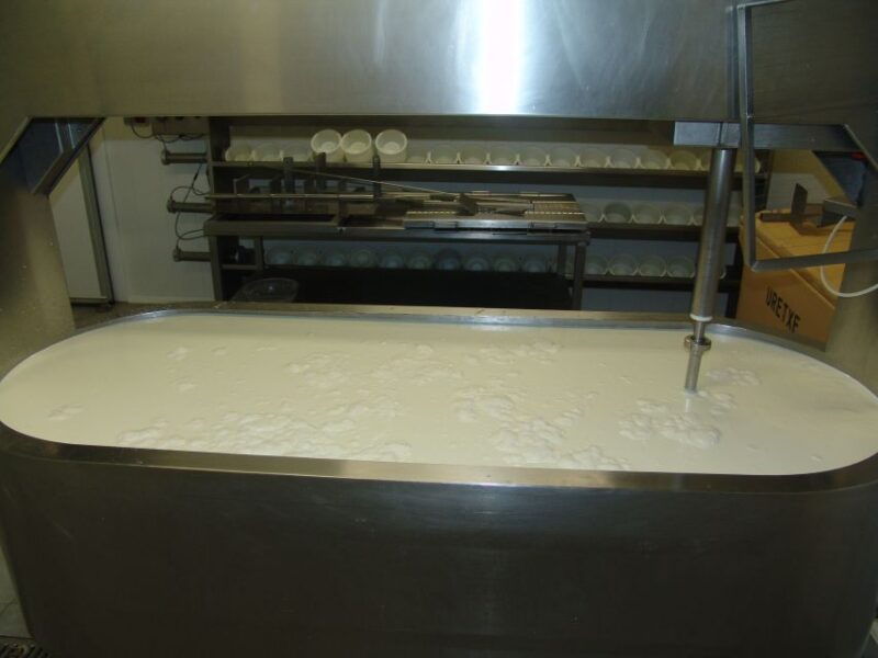 Discover the Art of Idiazabal Cheese in the Basque Country - The History of Idiazabal Cheese