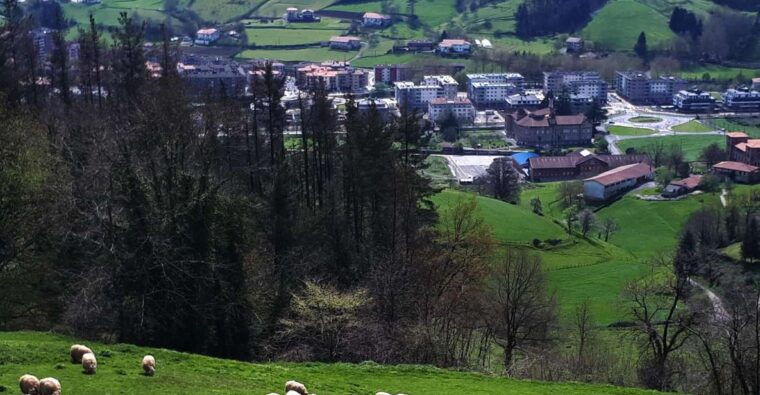Discover the Art of Idiazabal Cheese in the Basque Country - Tasting the Award-Winning Cheeses