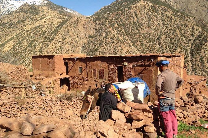 Discover the Atlas Mountains and Its Waterfall, Half Day Tour - Tour Overview