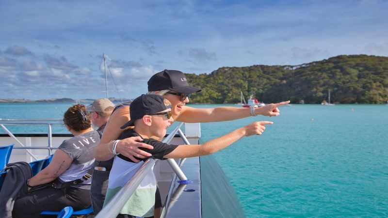 Discover the Bay Hole in the Rock Cruise includes Island Lunch - From Paihia into the Bay of Islands