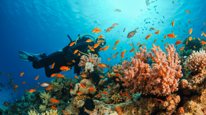 DISCOVER THE BEAUTY OF GANH NHAY - VAN PHONG BAY - What to Bring