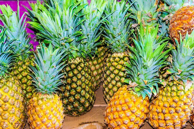 Discover the Best of Antigua Sightseeing Tour - Eagle Transfers - Shirley Heights