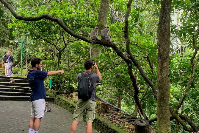 Discover The Best of Ubud: All-Inclusive and Private Guided Tour - Final Thoughts