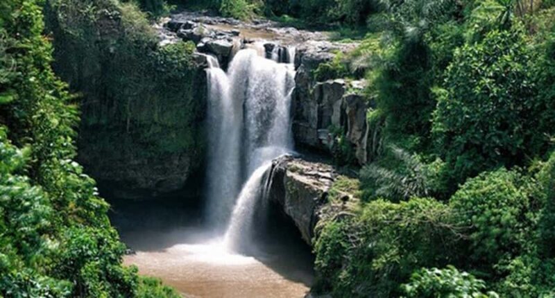 Discover the Best of Ubud: Private Day Tour with Local Guide - The Sum Up  