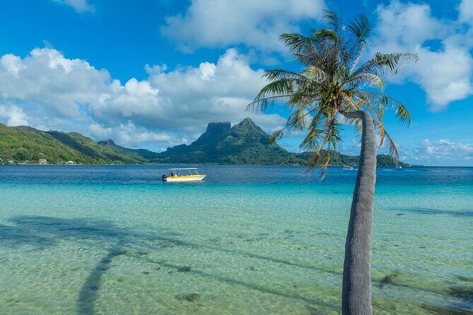 Discover the black pearl in Bora Bora - The Sum Up
