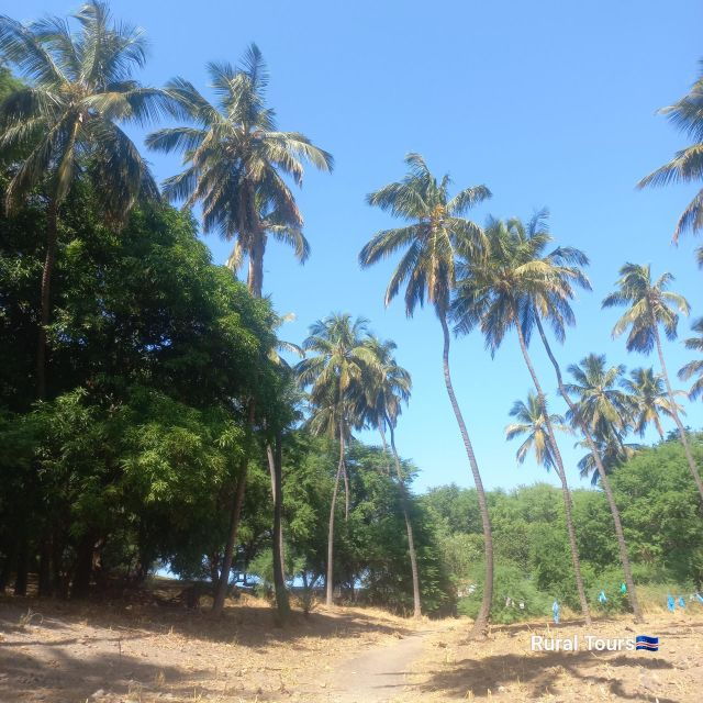 Discover the Black Sand Beach+the Natural Pool - Tour Details