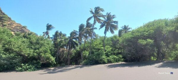 Discover the Black Sand Beach+the Natural Pool - Frequently Asked Questions