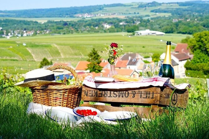 Discover The Cellars in The Heart of The Countryside in Champagne - The Charm of Rural Champagne