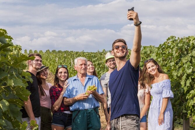 Discover The Cellars in The Heart of The Countryside in Champagne - Exploring Hidden Cellars in the Countryside