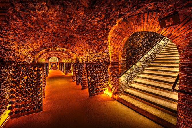 Discover The Cellars in The Heart of The Countryside in Champagne - The Sum Up