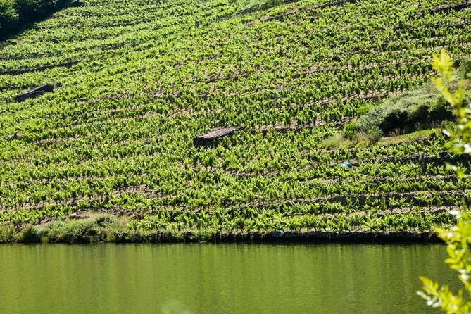 Discover the Charm of Bajo Miño and Portugal on a Private Tour - Delight in the Rich History of Bajo Miño and Portugal
