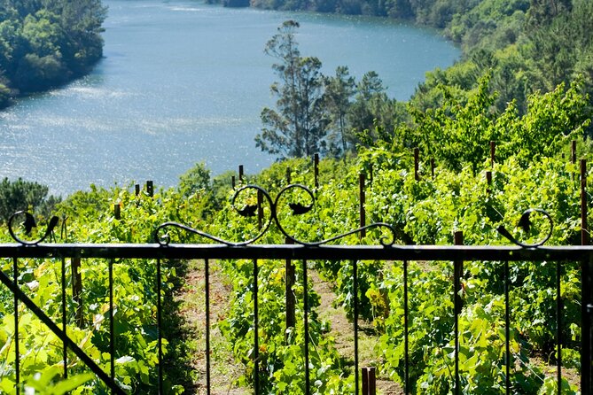 Discover the Charm of Bajo Miño and Portugal on a Private Tour - Experience the Cultural Traditions of Bajo Miño and Portugal