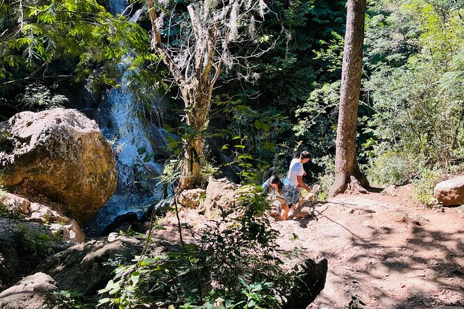 Discover the Cola De Caballo Waterfalls, Departing From Monterrey - Return to Monterrey