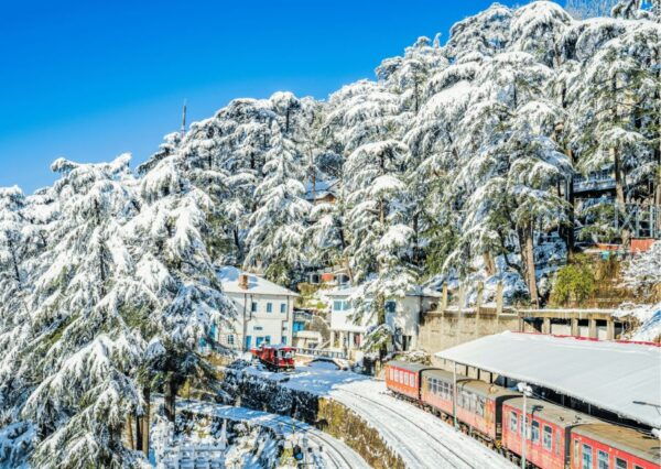 Discover the Colonial Trails of Shimla- Guided Walking Tour - The Sum Up