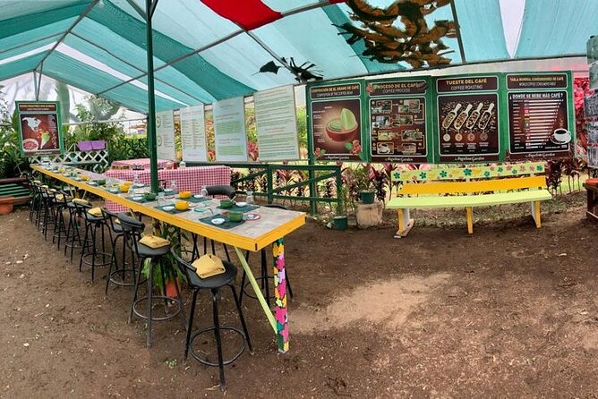 Discover the Costa Rican Essence Coffee, Chocolate and Honey - Chocolate Bars and Cacao Nibs