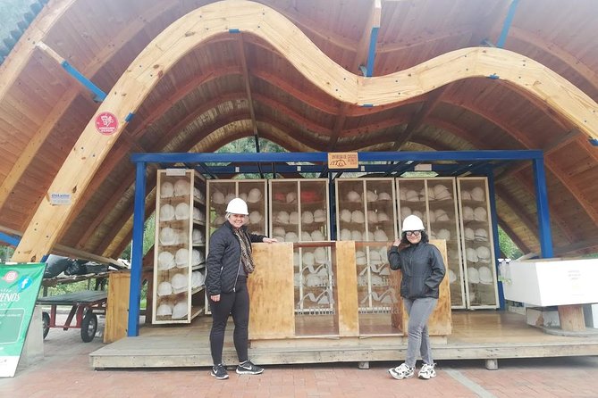 Discover the Depths of Nemocón Salt Mine - Visitor Reviews and Feedback
