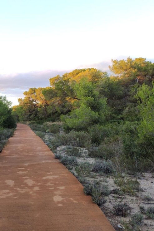 Discover the Devesa and the Albufera: Guided Tour - Good To Know