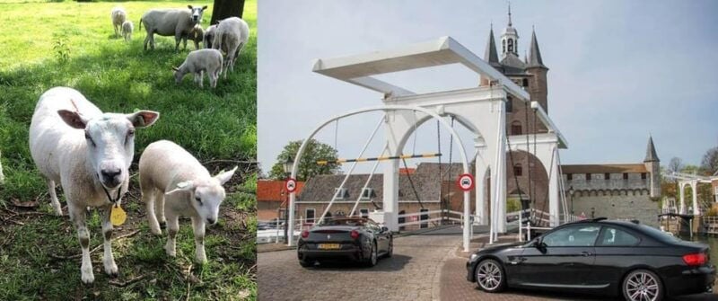 Discover the Dutch Countryside: Car Tour with Local Expert - Good To Know