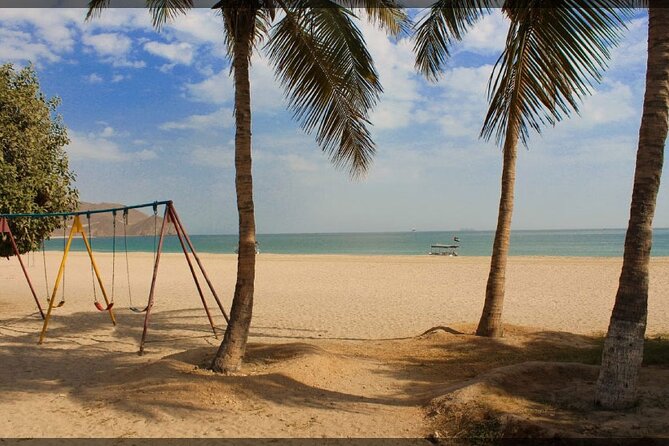 Discover The East-Coast UAE Full Day Trip To Fujairah From Dubai - The Sum Up