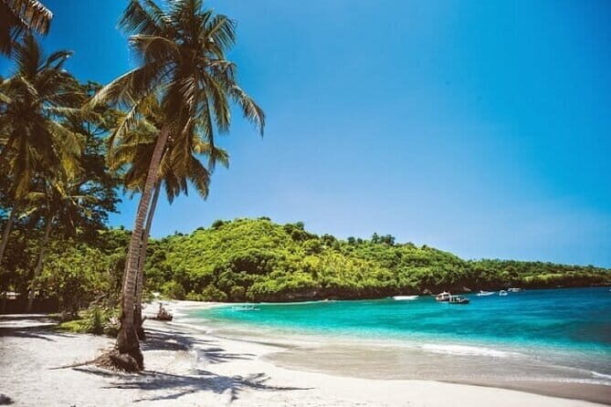 Discover the Enchanting Beauty of West Nusa Penida Private Tour - The Guide & Experience Quality