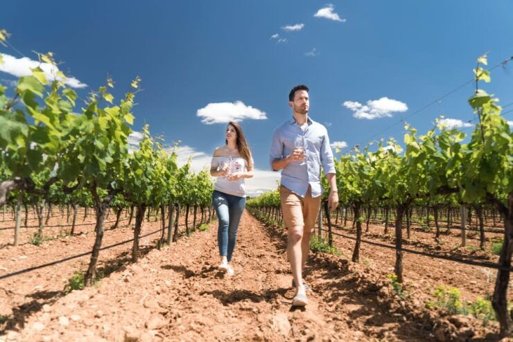 Discover the Essence of Ibiza'S Rich Wine Culture - Good To Know