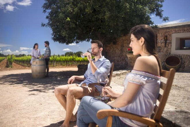 Discover the Essence of Ibiza'S Rich Wine Culture - Tasting Details