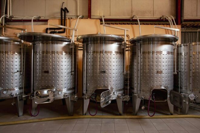 Discover the Essence of Ibiza'S Rich Wine Culture - Winerys Beginnings