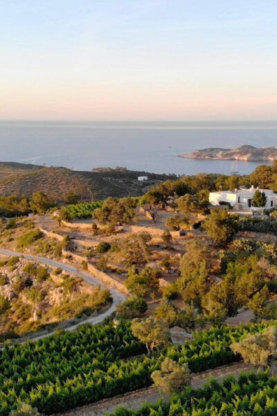 Discover the Essence of Ibiza'S Rich Wine Culture - Frequently Asked Questions