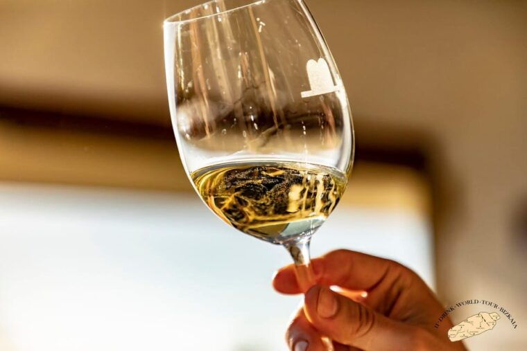 Discover the Essence of Txakoli Wine From San Sebastian - Insights Into Basque History and Gastronomy