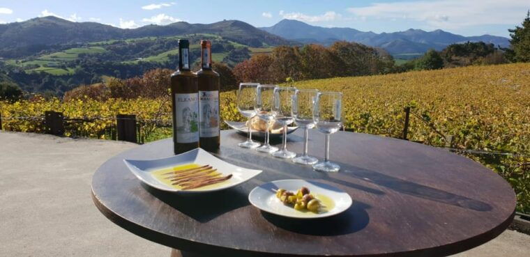 Discover the Essence of Txakoli Wine From San Sebastian - Exploring the Vineyards