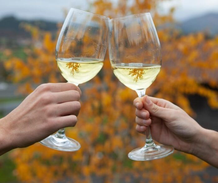 Discover the Essence of Txakoli Wine From San Sebastian - Customer Feedback and Ratings