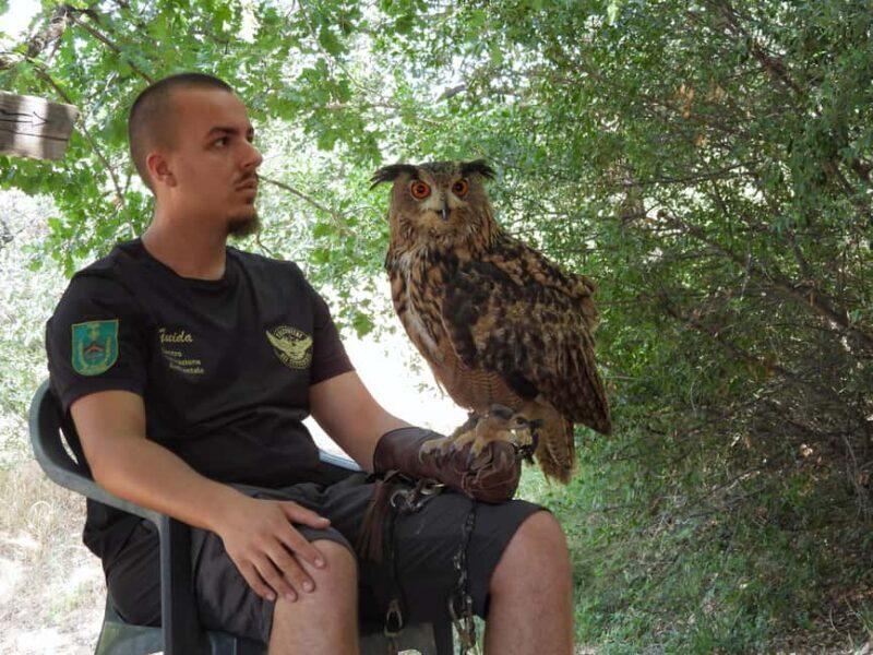 Discover the fantastic world of birds of prey in the Pollino National Park. - An In-Depth Look at the Tour Experience