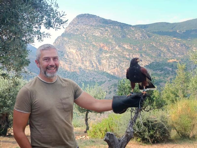 Discover the fantastic world of birds of prey in the Pollino National Park. - Who Should Consider This Tour?