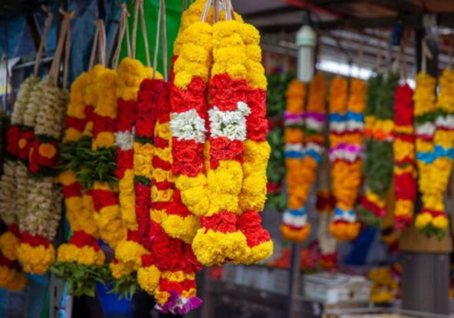 Discover the Fresh Flower & Vegetable Market in Jaipur - Local Interactions and Insights